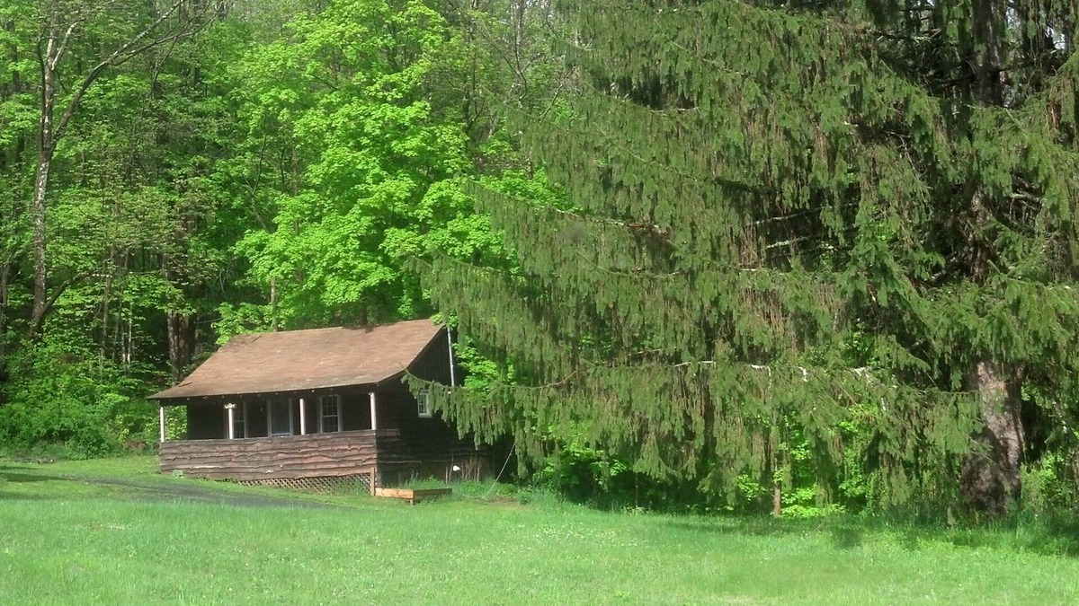 Shandaken Cabin | Two Bedroom Cabin in Central Catskills