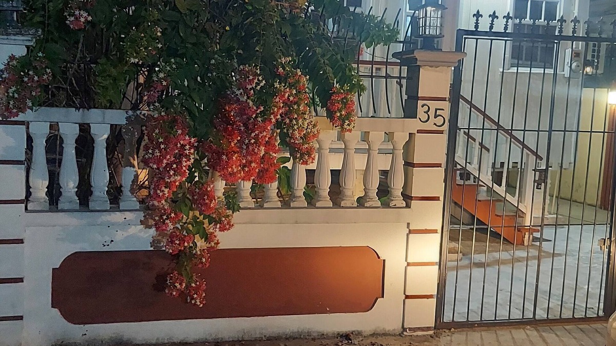 Georgetown Cottage | Two charming 2-bedroom cottages with AC and WiFi in delightful Queenstown Gtown