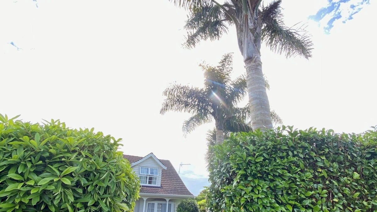 Cambridge Apartment | Two Palms Cambridge, peaceful and safe and pet friendly
