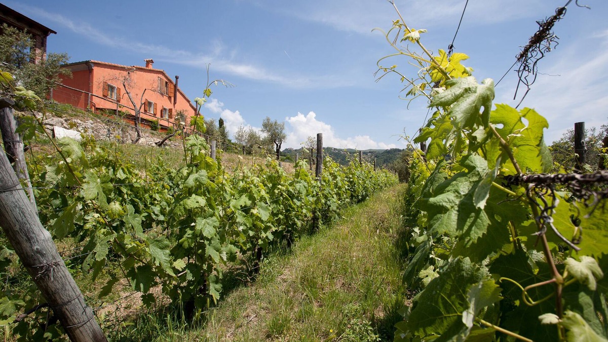 Fosdinovo Apartment | Two-room apartment in farmhouse surrounded by greenery and a few kilometers from the sea