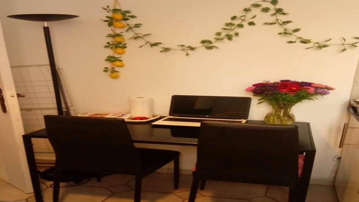 Les Lilas Apartment | two-room apartment with all amenities