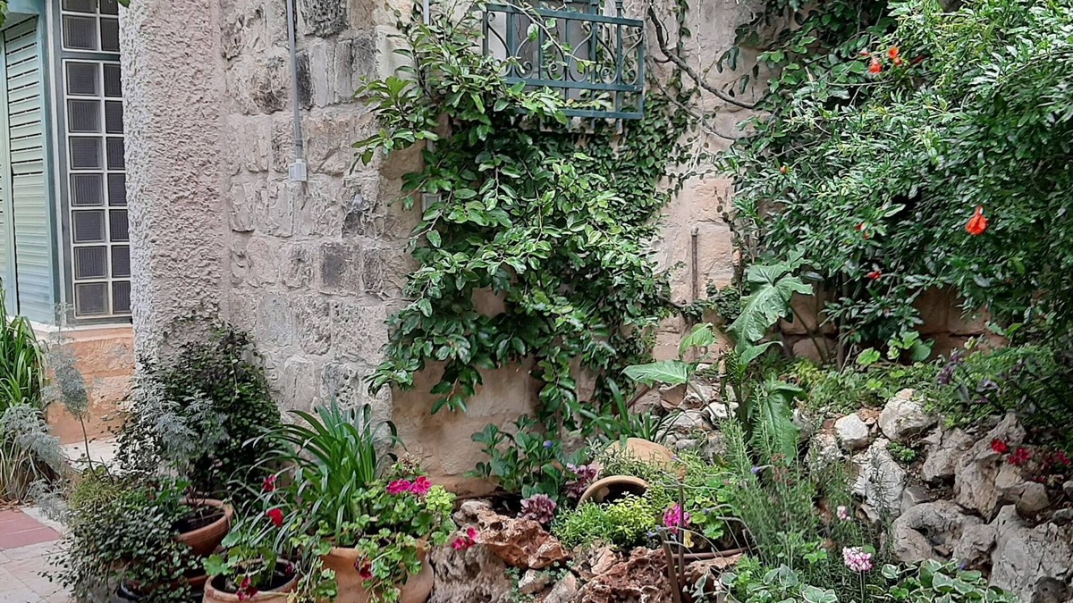 Safed Apartment | Two stand-alone flats Galilee Sea Mountains View, BBQ, WiFi, Air Conditioner