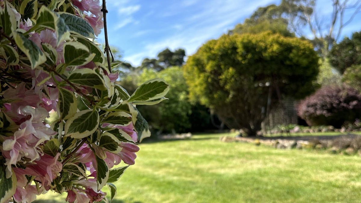 Lymwood House | Two Twenty Two Farm Stay