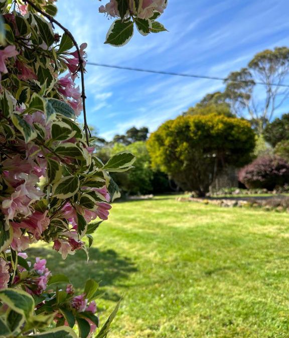 Lymwood House | Two Twenty Two Farm Stay