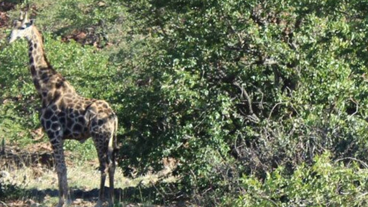Khorixas Other | Twyfelfontein Tented Camp