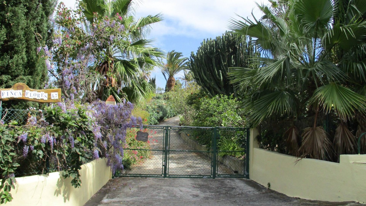 Brena Alta Apartment | Typical Canary Cottage - Relaxation in the Botanical Garden