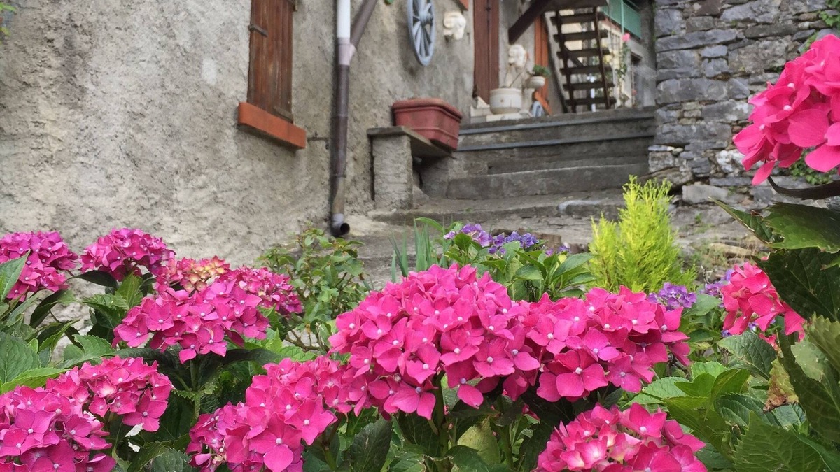 San Rocco in Turrite House | Typical Tuscany Village House, small private pool and relax