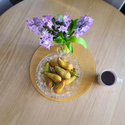 Rzeszow Apartment | U Anny