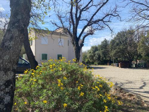 Patrimonio House | U FARNIENTE