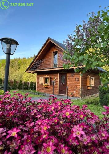 Trzemesnia Apartment | U Krysi