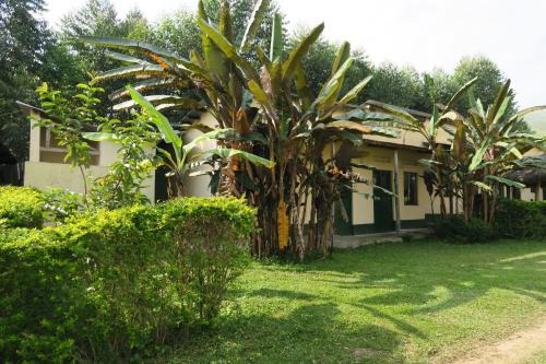Ntungamo Cabin | Uganda Lodge