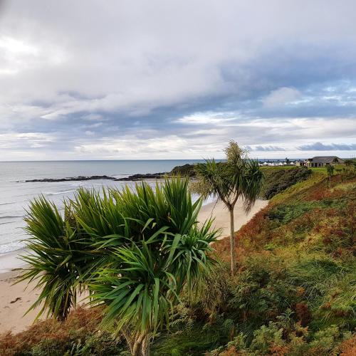 Rosslare Harbour House | Ula Cottage