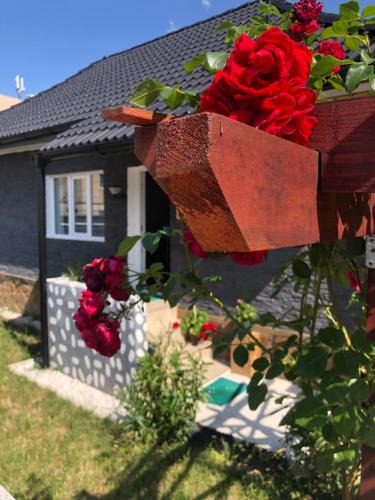 Bumbesti-Jiu House | Ulita