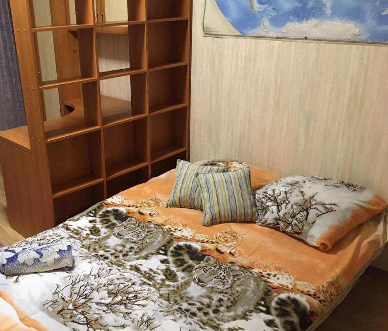 Vladimir Apartment | Ulitsa Kirova 20