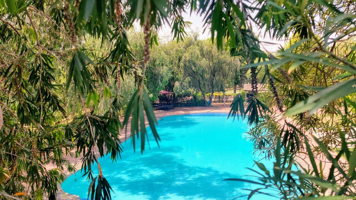 Bhandarej Hotel | Umaid Palace- An Organic Retreat