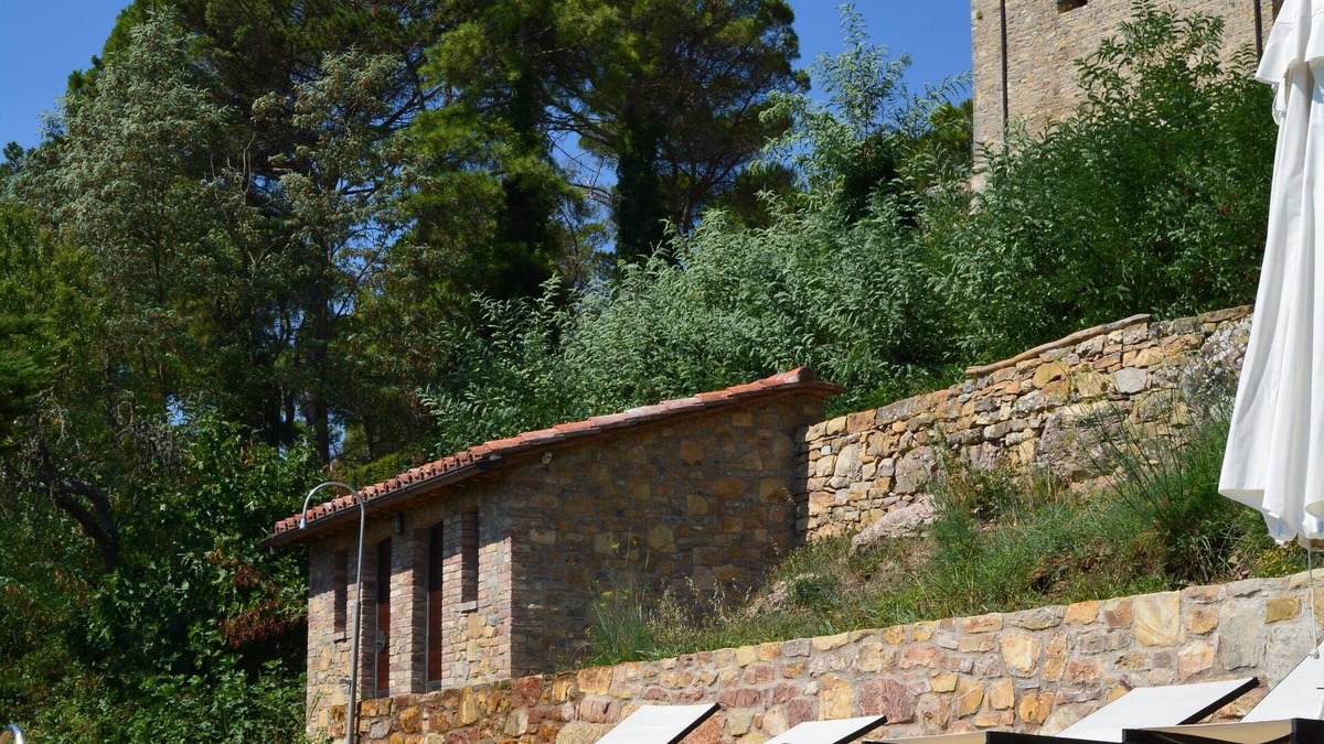 Montegiove Other | Umbria reconstructed olive mill in Castello Di Montegiove, Leccino