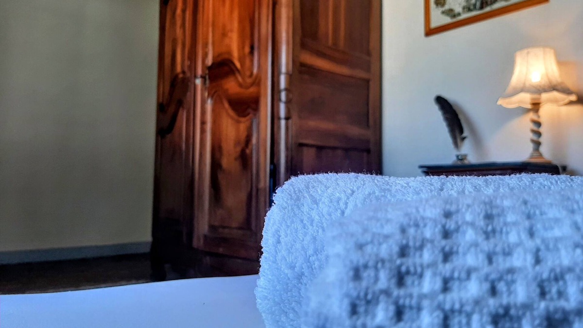 Buzet-sur-Baise House | Un Air de Famille - Country house with swimming pool