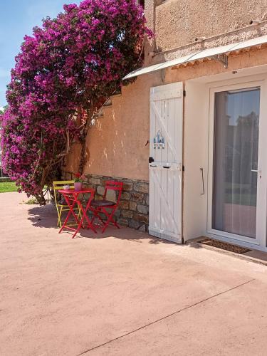 La Marana Apartment | Un Nid Douillet en bord de plage !