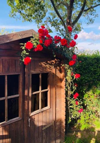 Nola House | Una piacevole oasi di benessere nei vostri viaggi