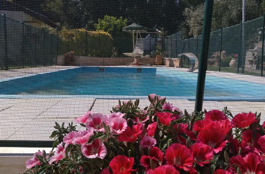 Aseret House | Under The Fig Tree