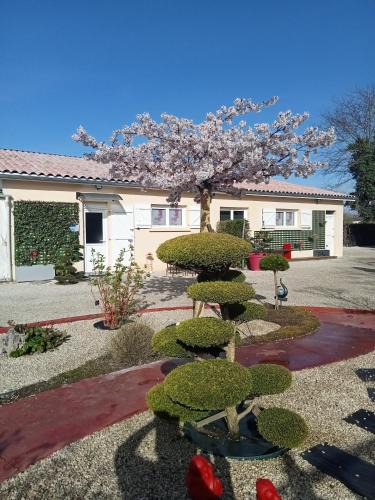 Saint-Medard-de-Guizieres Apartment | une pause quelque part au jardin des érables et des niwakis
