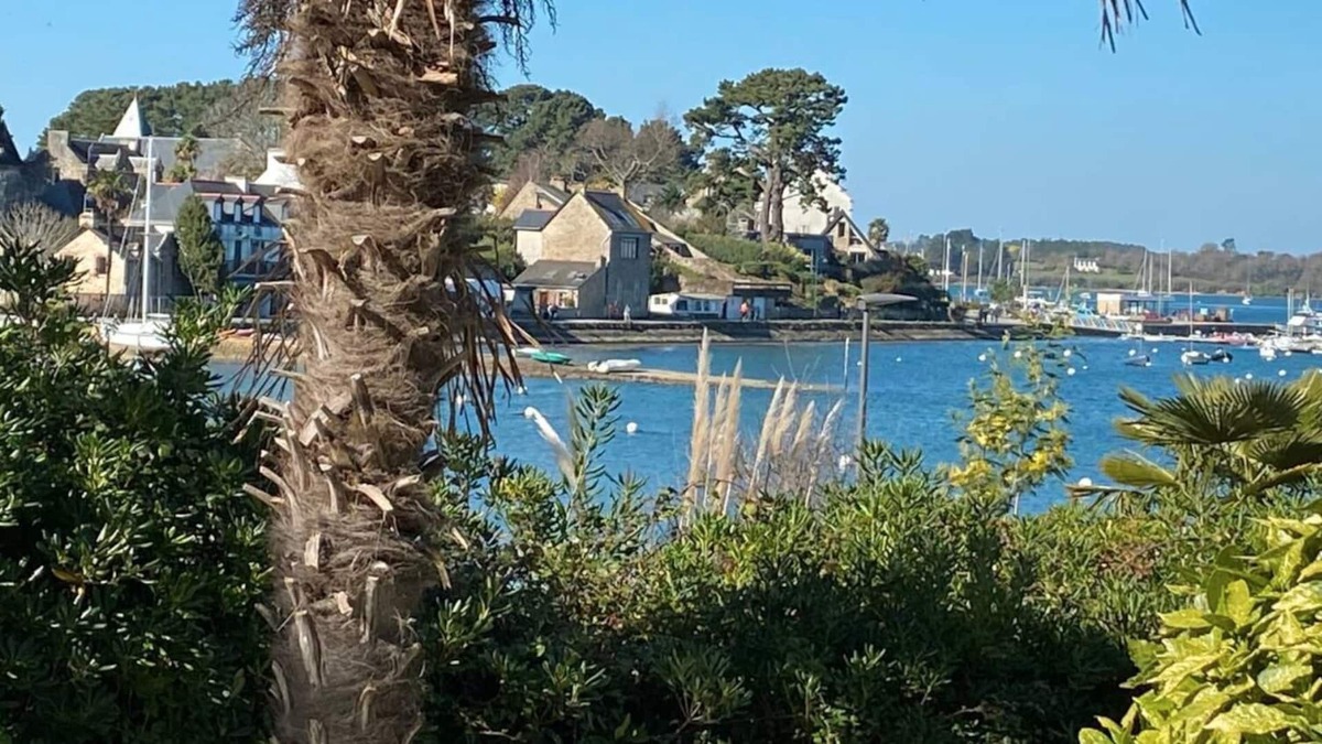 Ile-aux-Moines Villa | Une Pause Sous les Palmiers