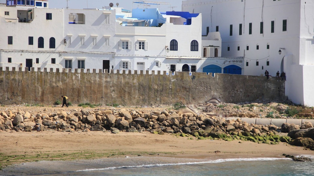 Medina House | Unforgettable view on the ocean/charm & comfort/Internet