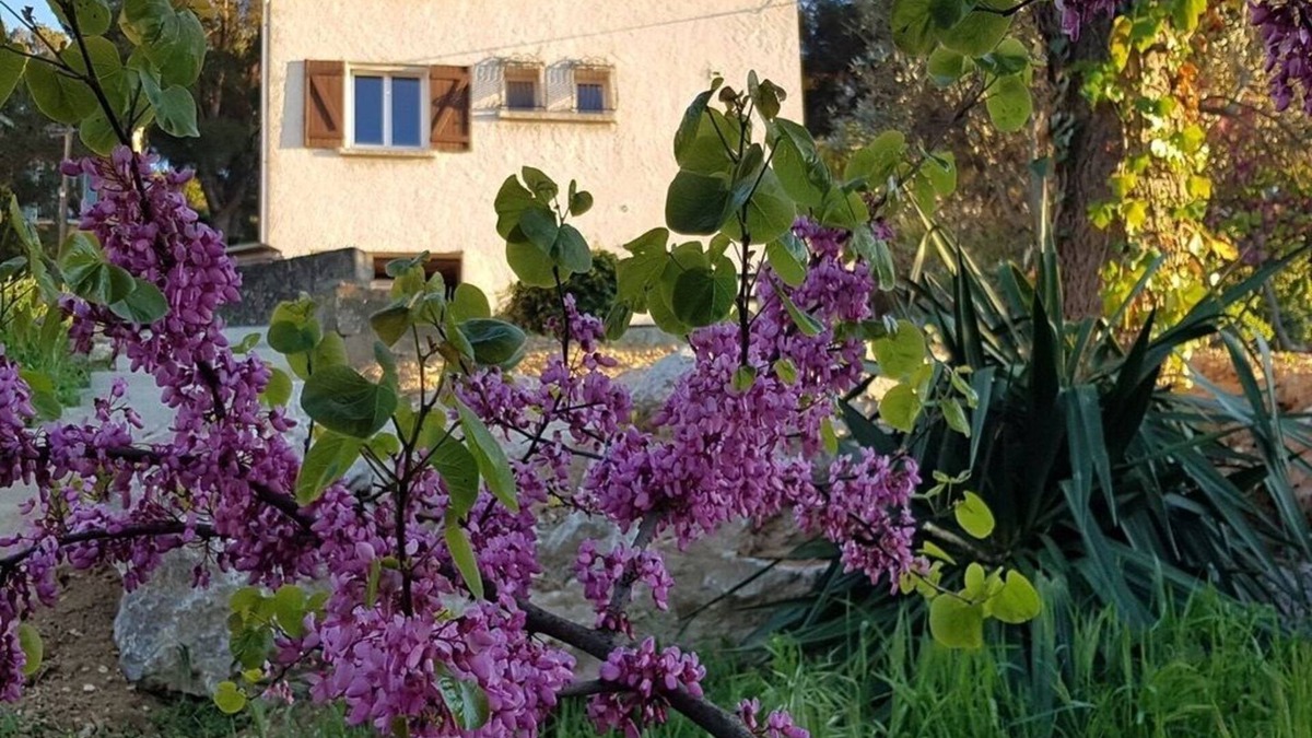 La Panouse House | Unique à Marseille