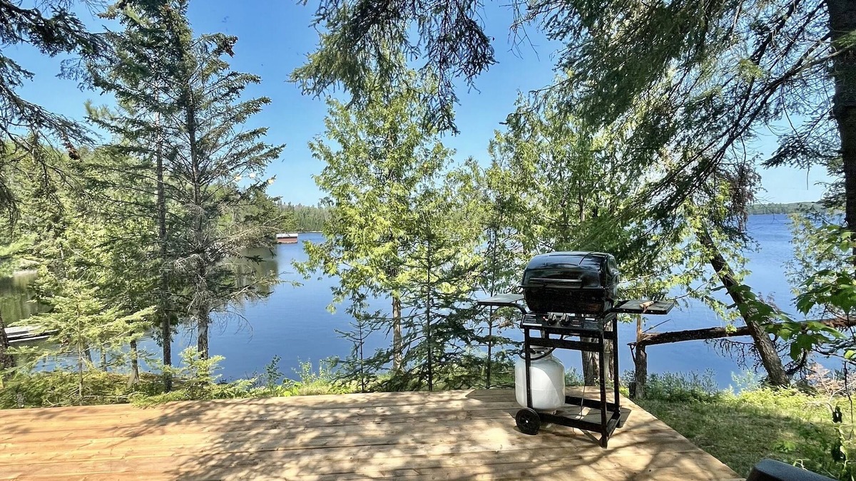 Sioux Narrows Nestor Falls Cabin | Unique 1929 Lakeside Cabin with shared hot tub and sauna!