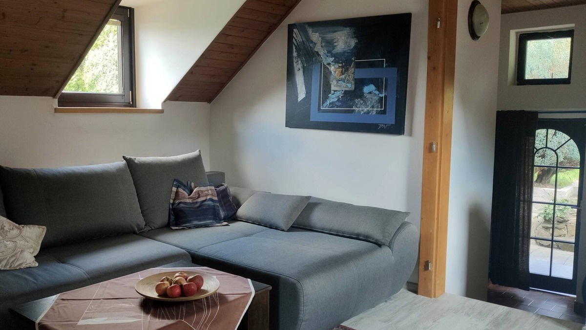 Zlin House | Unique attic with garden, library, bathtub, wifi & free parking