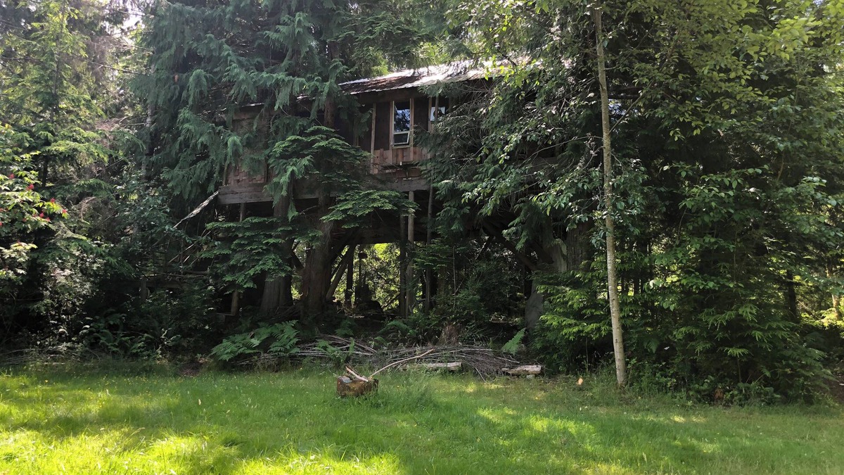Whaletown Apartment | Unique Cortes Treehouse! - Peaceful haven in the trees