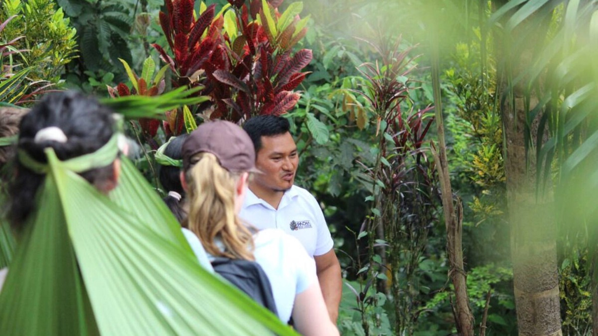 Archidona Cabin | Unique ecolodge in the Amazon Rainforest - Connect with nature near Tena