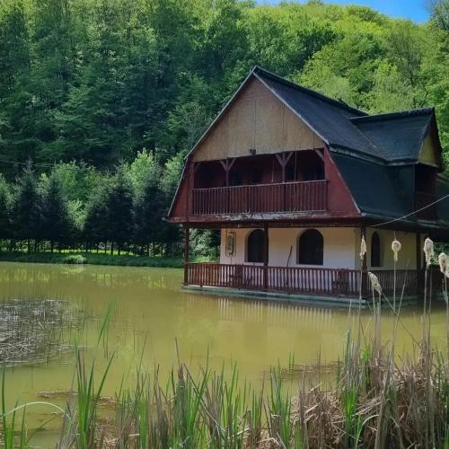 Alesd House | Unique House on the Lake