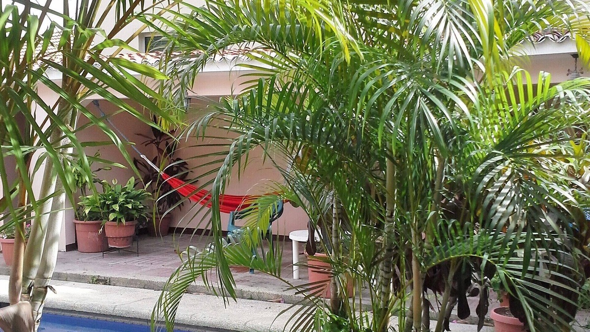 Parroquia Sucre House | Unique Mediterranean style home with an atrium, pool and a nice garden