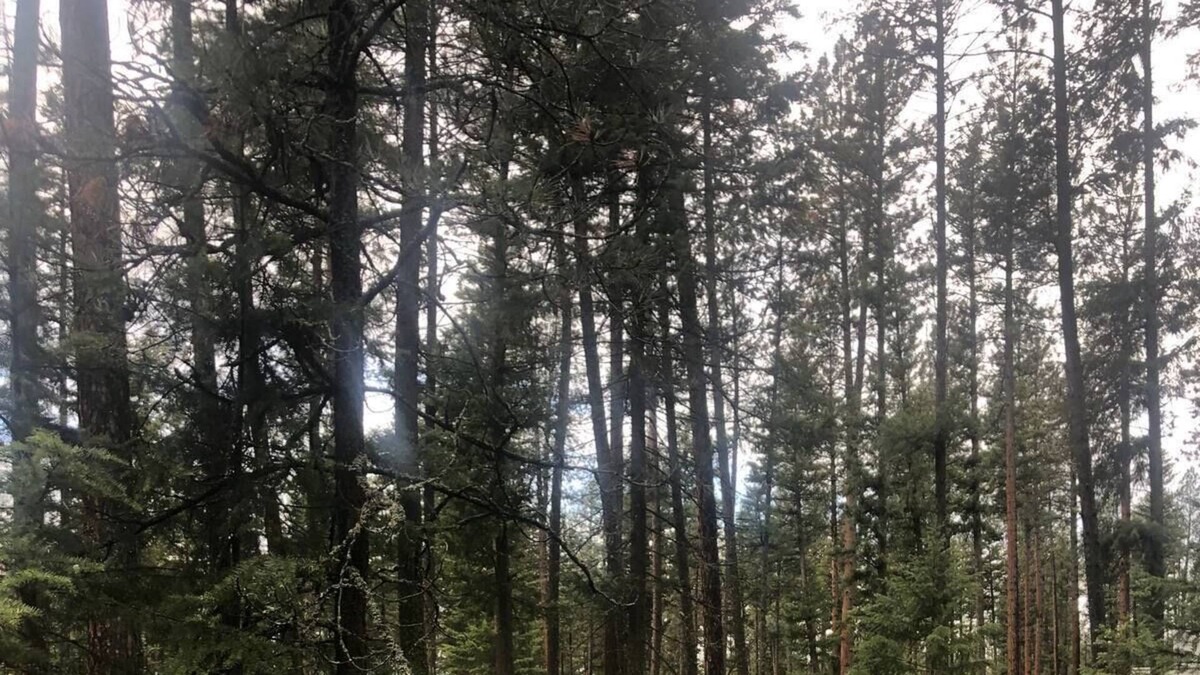 Huson House | Unique Montana Adventure
