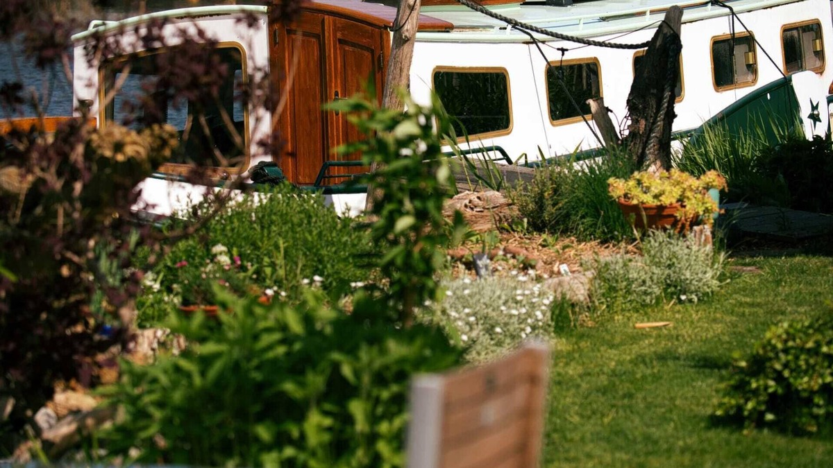 Municipality of Wormerland Boat Rental | Unique nature experience on the water, Bed in boat Jisperveld