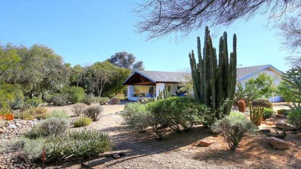Sun City West House | Unique Private Desert Botanical Garden Property heart of SCW. it's a must Cn