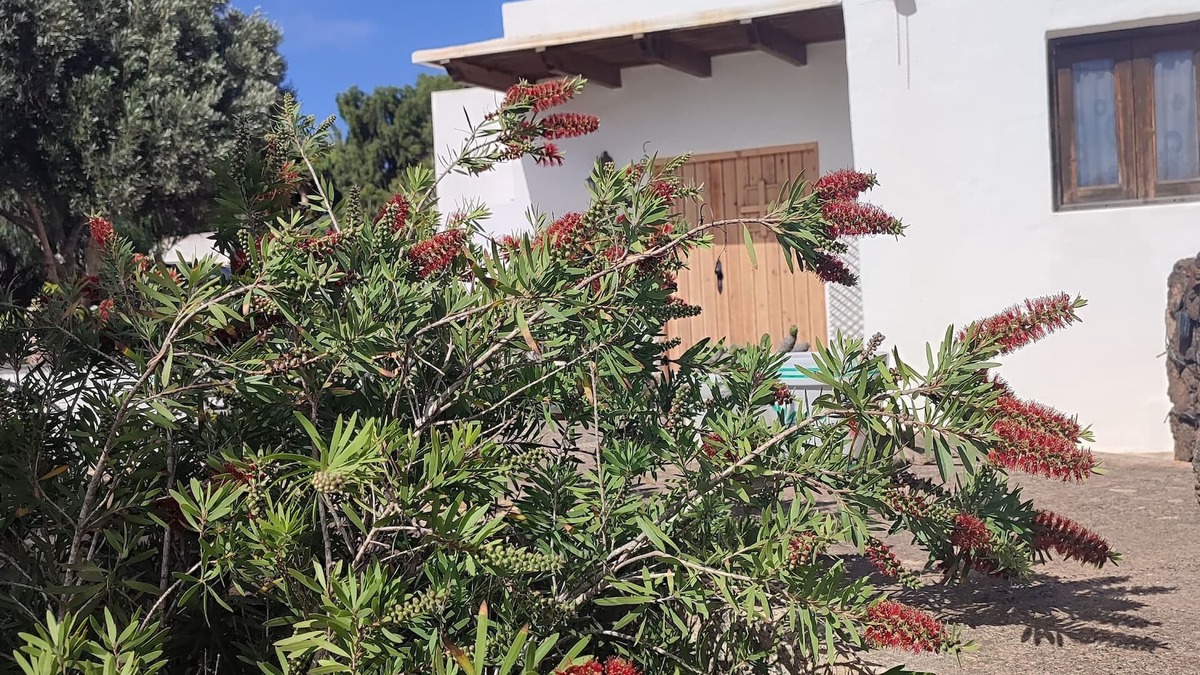 Villaverde Villa | Unique Rustic Villa, quite and relaxing. Cosy and familiar atmosphere
