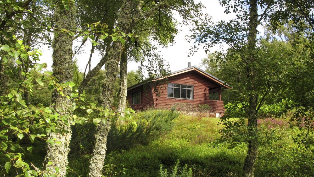 Golspie Cabin | Unique, Solo Log Cabin In Private Woodland With Views To Sea And Local Hills