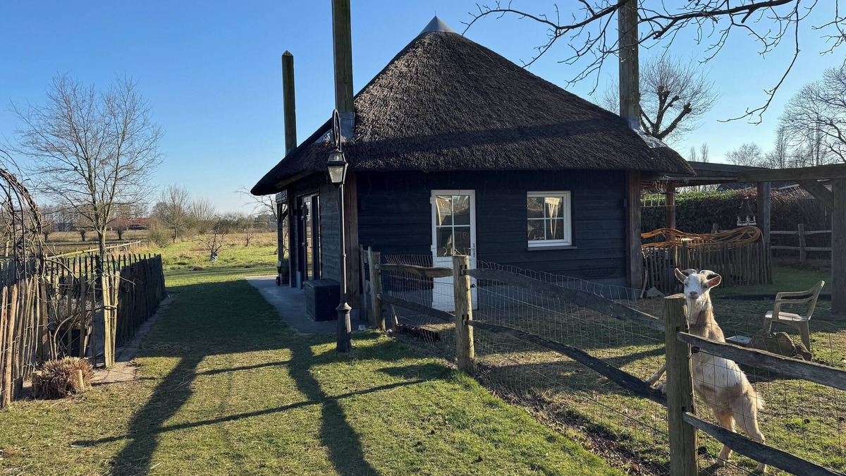 Made Other | Unique stay in the middle of nature near National Park de Biesbosch