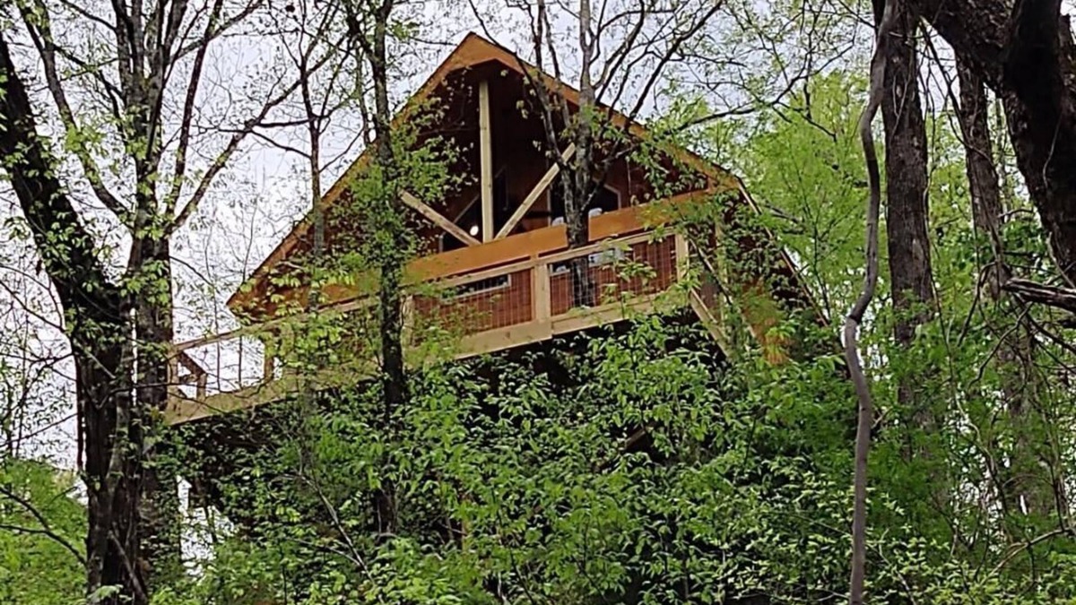 Jones Mills Cabin | Unique Treehouse property at Lake Catherine. Lake toys included.