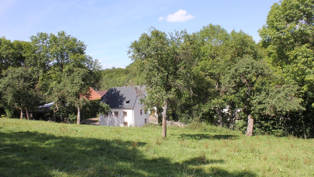 Strohn House | Unique Vulkaneifel house, Vulkaneifel, in a beautiful, quiet location