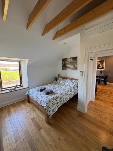Lerwick Apartment | Unkenhaus. Cosy, modern apartment, private parking