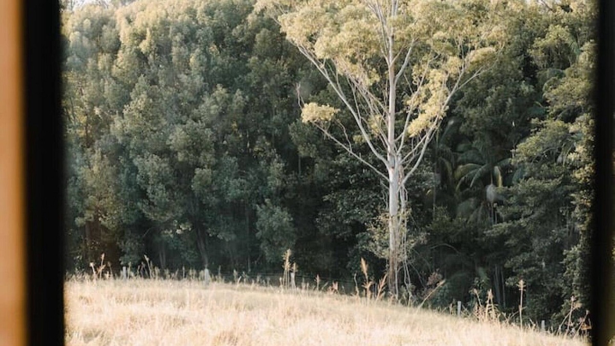 Woombye House | Unplug and unwind in nature. Tiny Home.
