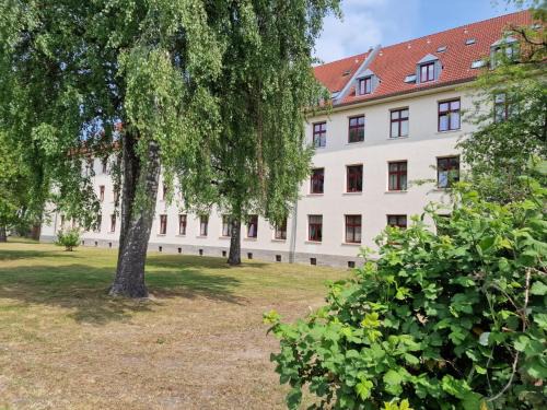 Greifswald House | Unterkunft Greifswald