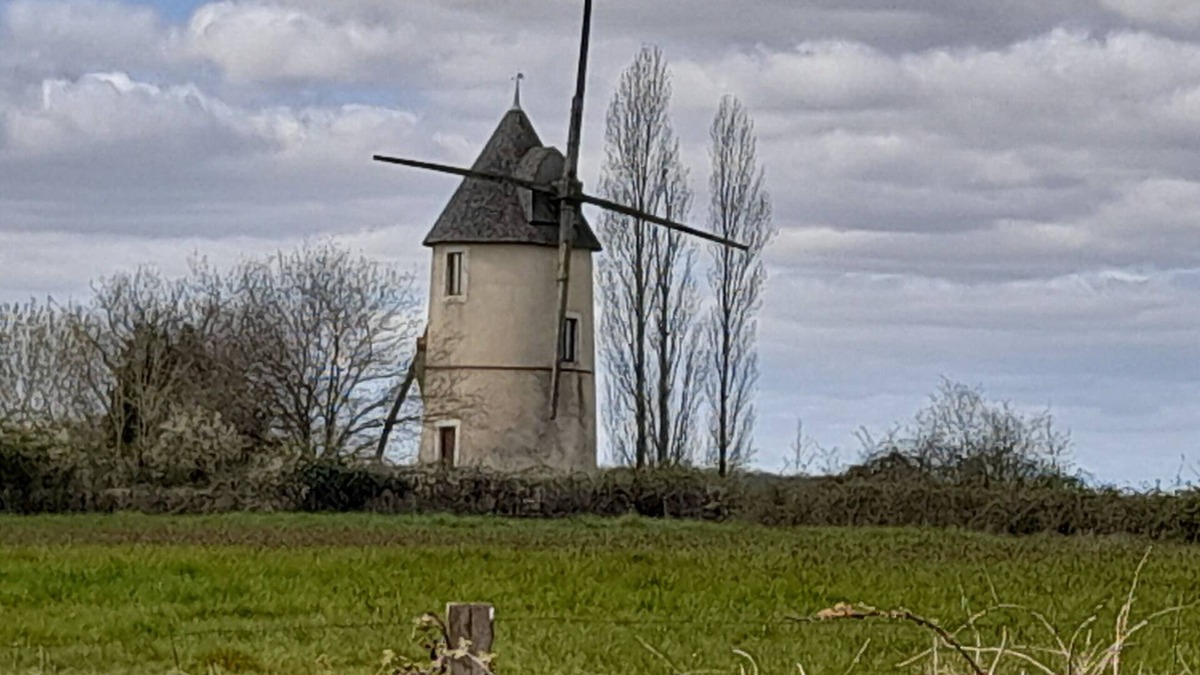 Saint-Cyr-des-Gats Cottage | Unusual mill