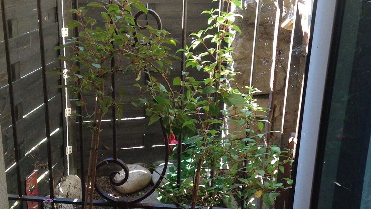 Soyons Apartment | Unusual troglodytede charm