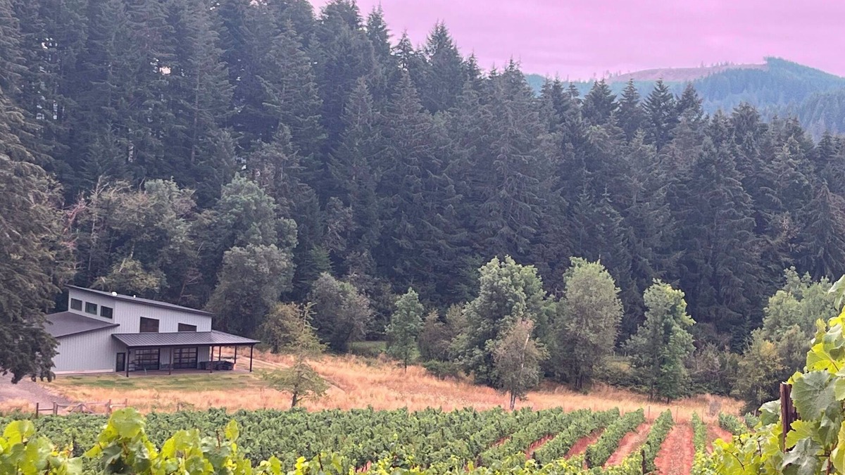 Veneta House | Unwind in Wine Country