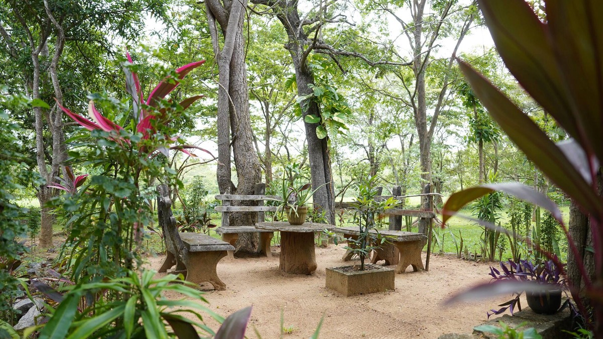 Habarana Villa | UpiesFolly Lakeside Bungalow