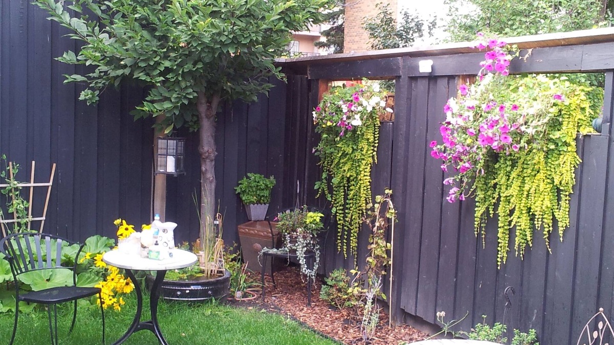 Sunnyside House | Urban Cottage Oasis, lower suite